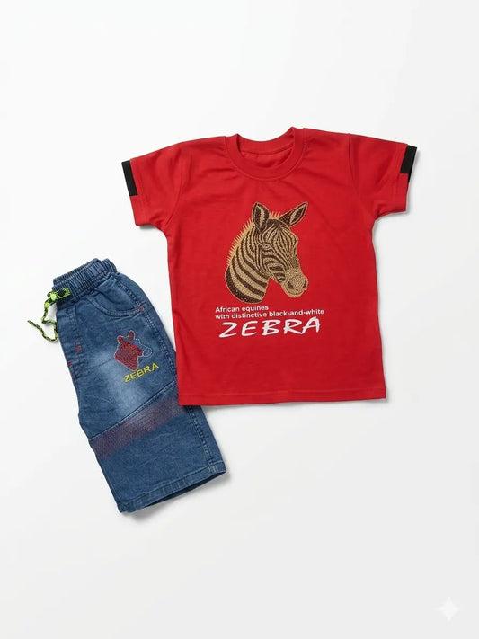 Baby Boy Half Sleeve T-Shirt & denim Knickers Set (4 Years)