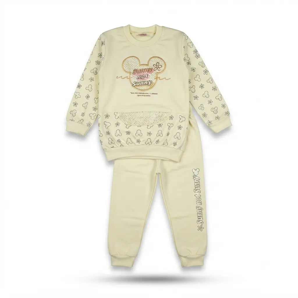 Trendy Terry Sweatshirt & Jogger Set for Baby Girls – Soft Mid-Season Outfit (6 Years)